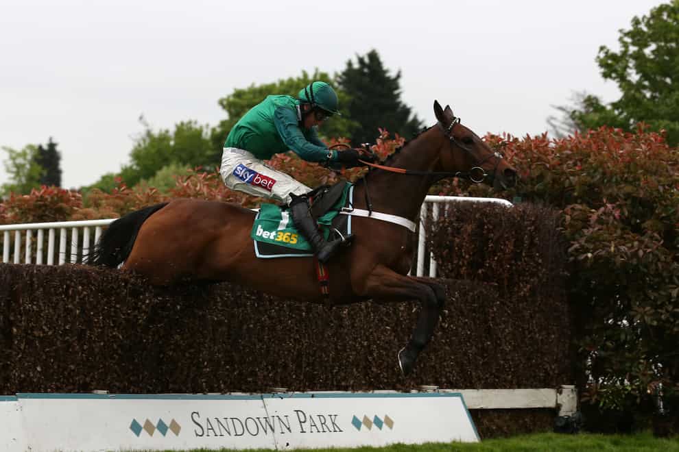 Top Notch bids to win the Peterborough Chase for the second year running
