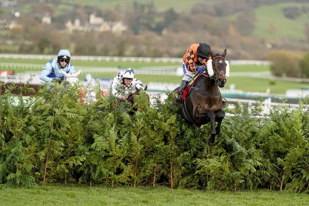 Kingswell Theatre clears the last fence on the way to winning over the cross-country fences at Cheltenham last month