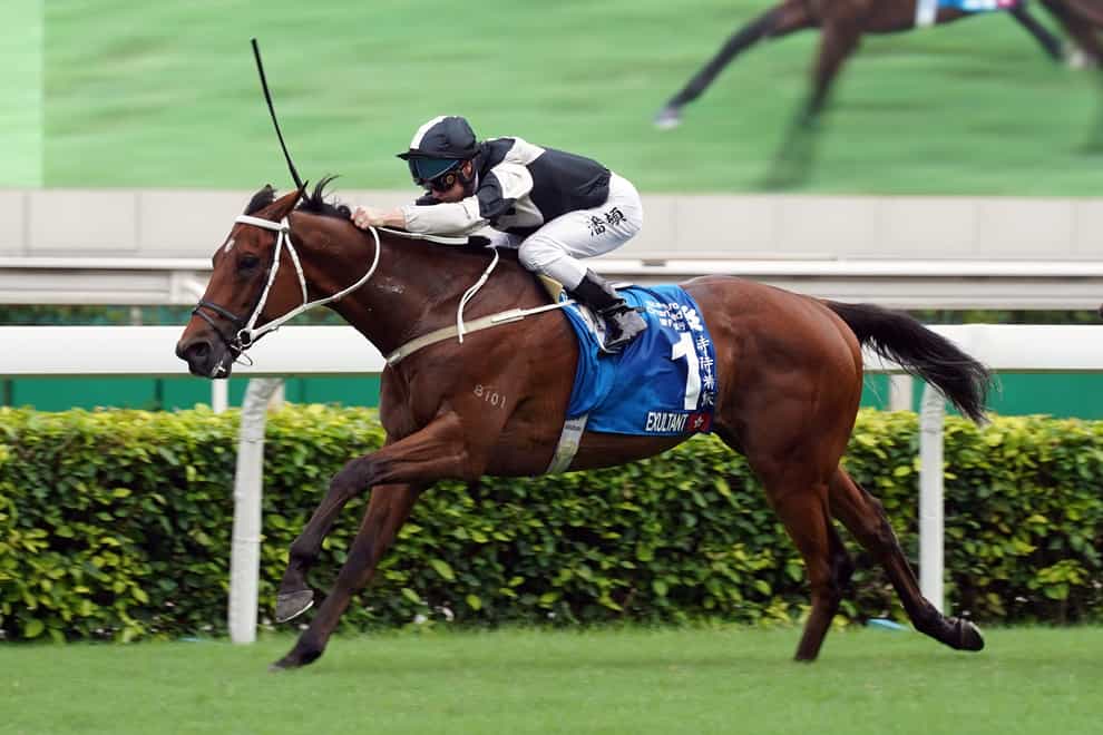 Exultant will bid to secure a second victory in the Longines Hong Kong Vase at Sha Tin on Sunday