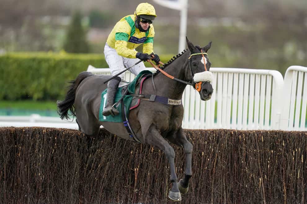 David Bass riding Happygolucky clear the last to win the International Decorative Surfaces Novices’ Chase