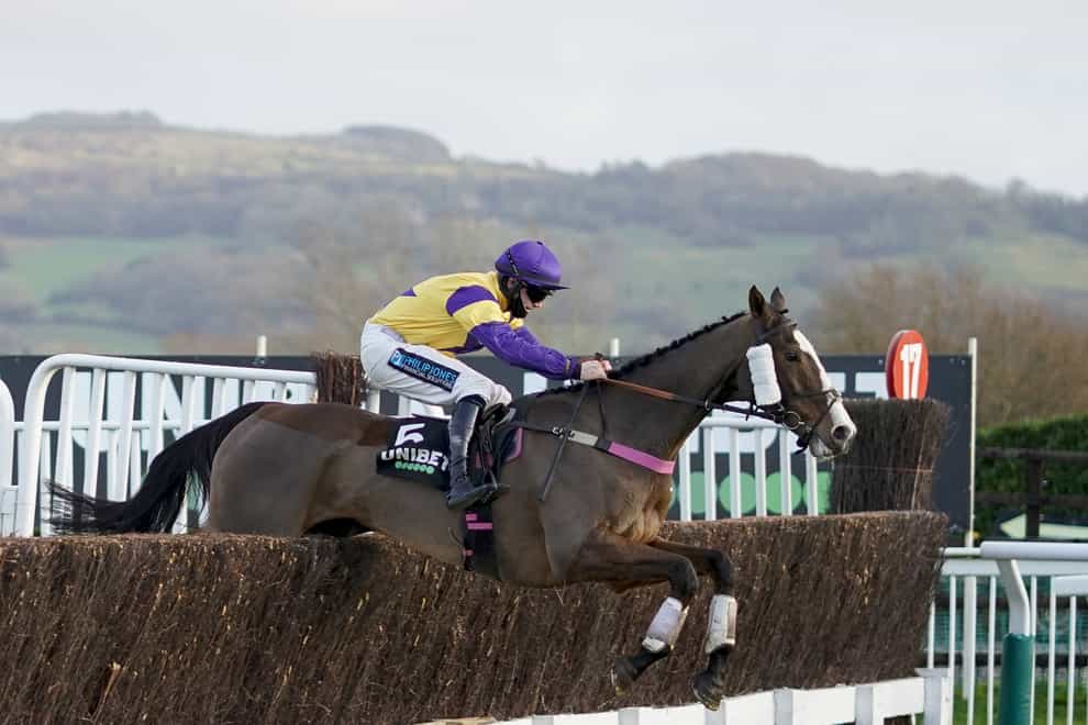 Richard Patrick and Storm Control clear the last at Cheltenham