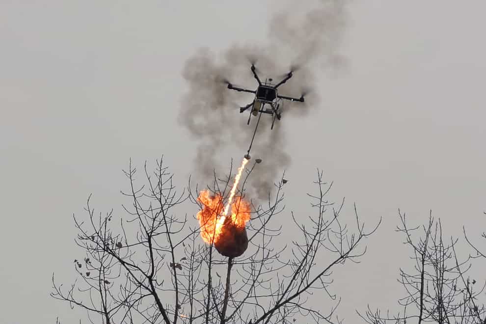Flamethrower drone burns wasp nest in China