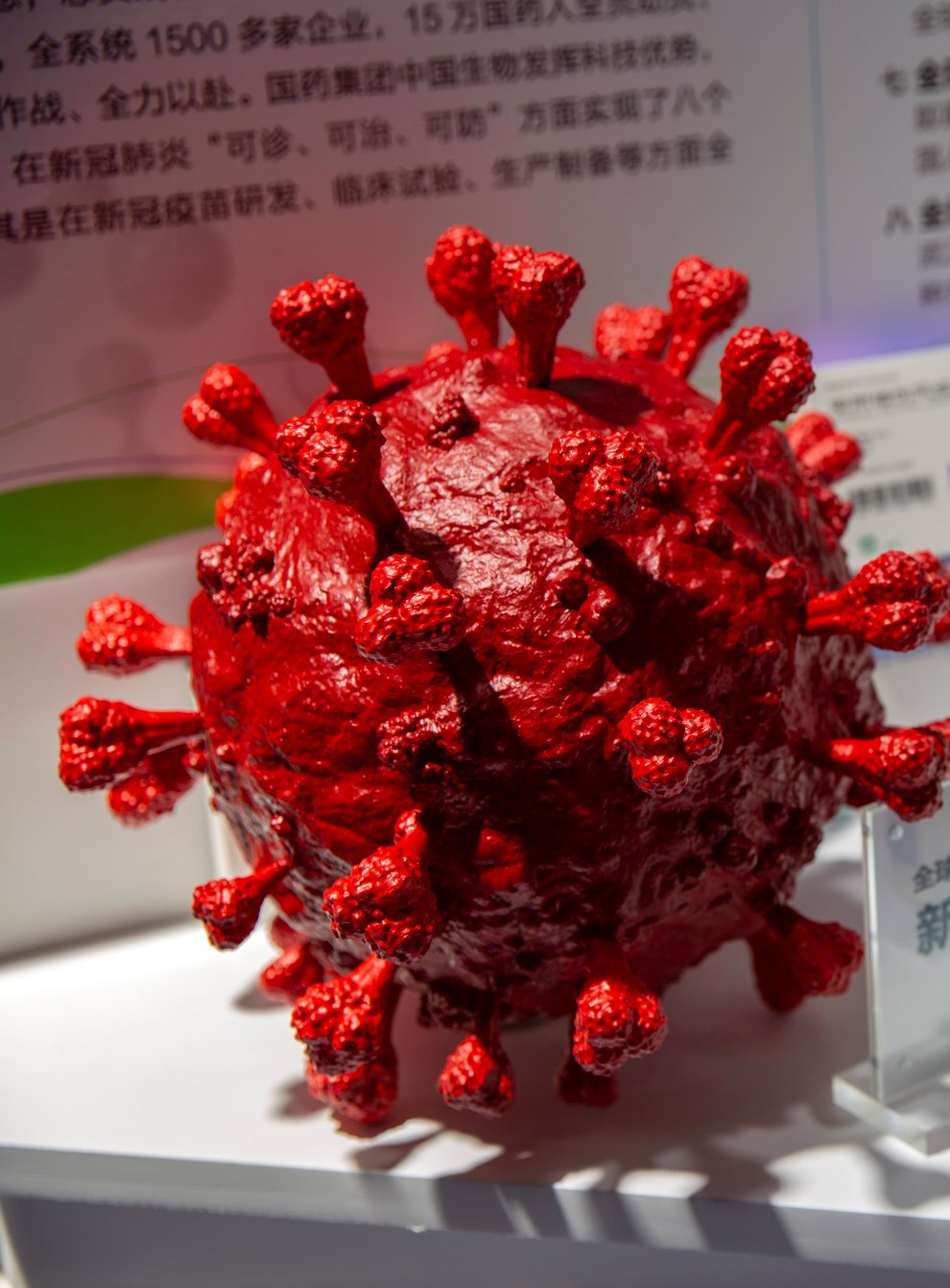 A model of a coronavirus is displayed next to boxes for COVID-19 vaccines at an exhibit by Chinese pharmaceutical firm Sinopharm