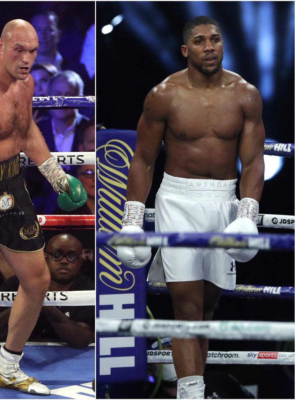 <p>Fury and Joshua on a collision course to meet in an undisputed fight later this year</p>