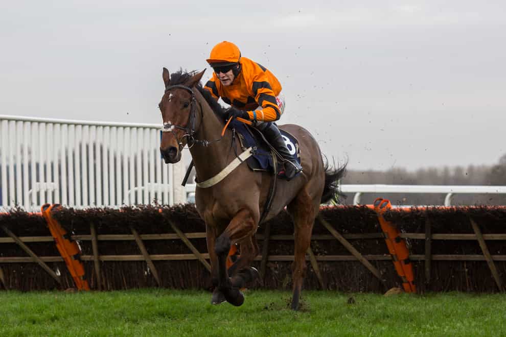 Thistlecrack is on course to try to repeat his 2015 victory in the Long Walk Hurdle at Ascot