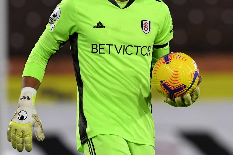 Scott Parker has hailed Alphonse Areola, pictured, for helping solidify Fulham's defence