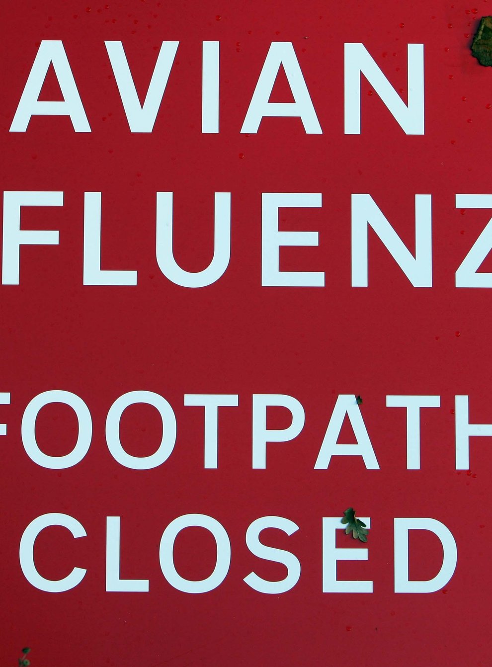 An 'Avian influenza. Footpath closed' sign