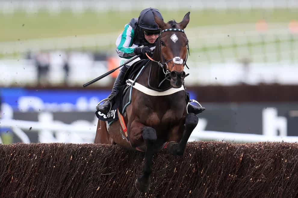 Altior disappointed at Kempton on Sunday
