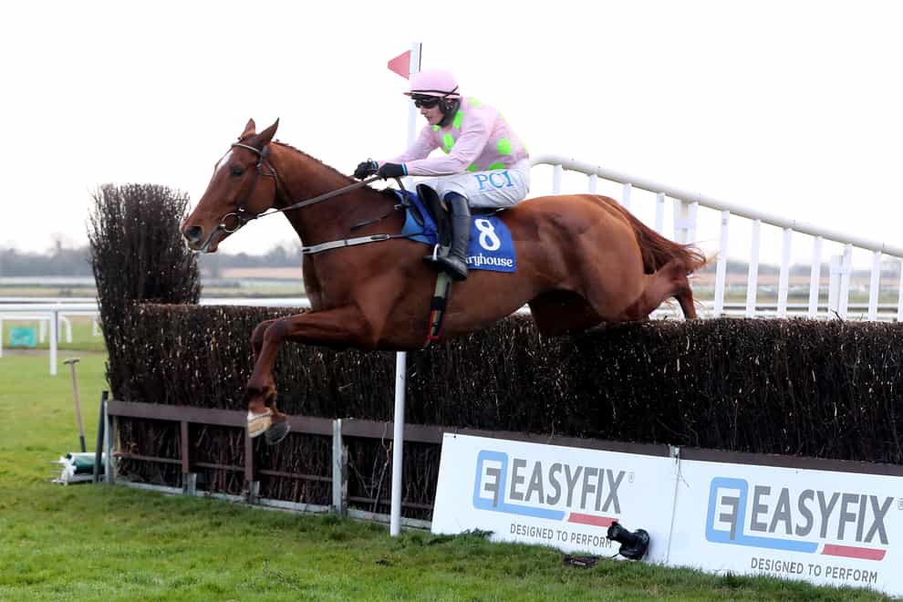 Monkfish impressed on his chasing debut at Fairyhouse