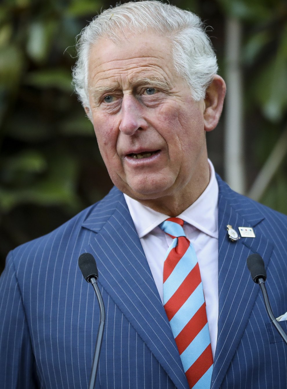 <p>The Prince of Wales spoke about his lifelong campaigning in support of the natural world</p>