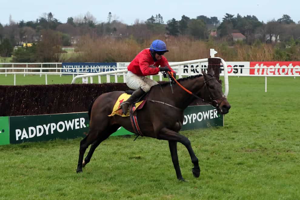 A Plus Tard could be heading for the Cheltenham Gold Cup