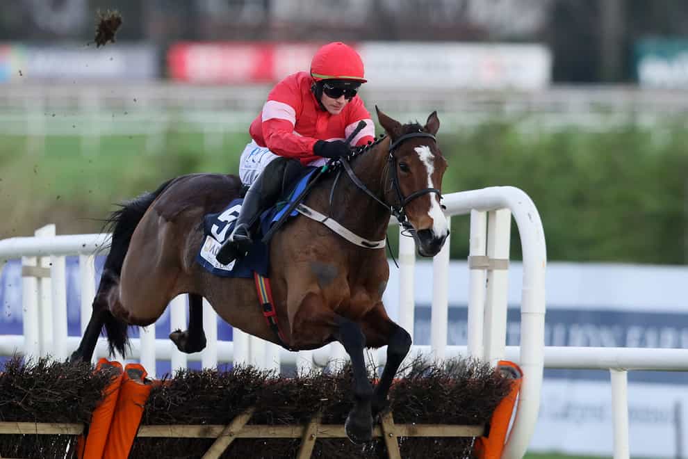 Stormy Ireland will be out to claim her first success since joining Paul Nicholls in the Unibet "You're On" Mares' Hurdle