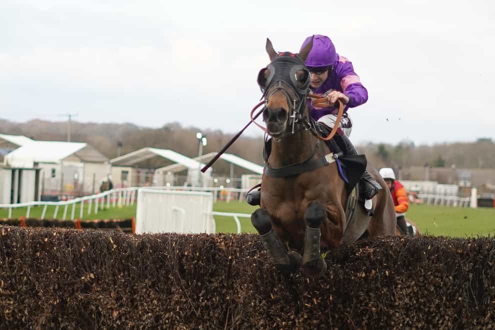 Seaston Spirit jumps the last clear to win the Sussex National