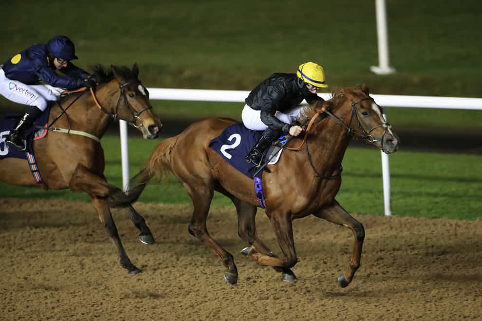 Amniarix and Richard Kingscote coming home to land the fast-track qualifier at Wolverhampton