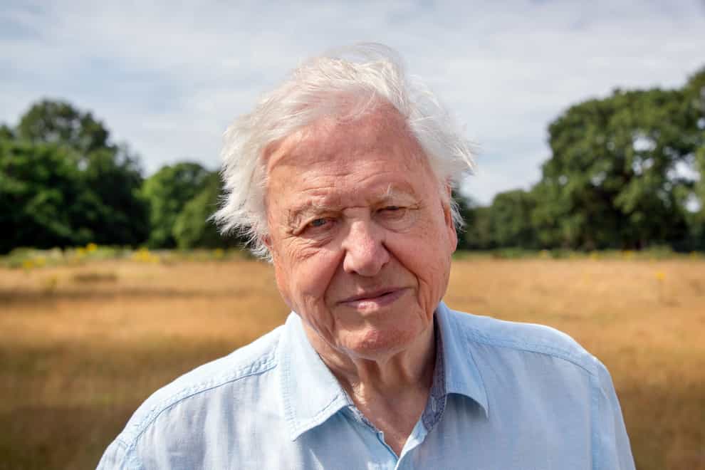 Sir David Attenborough (Nick Shoolingin-Jordan/ Silverback Films/PA)
