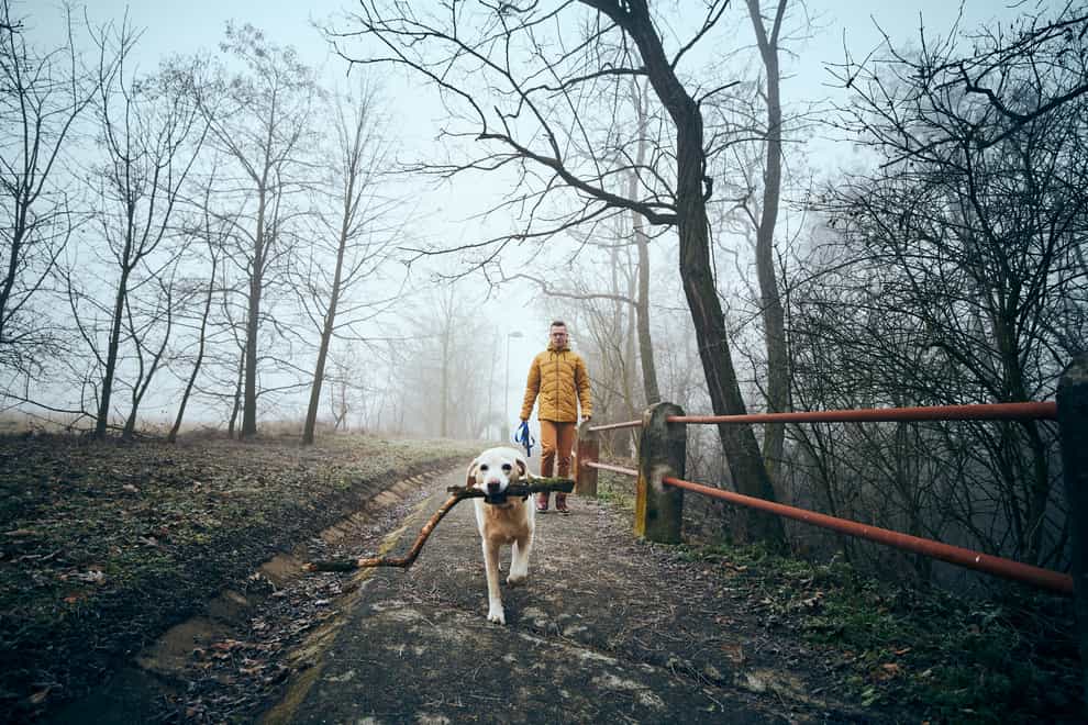 Young man with his dog walking (iStock/PA)