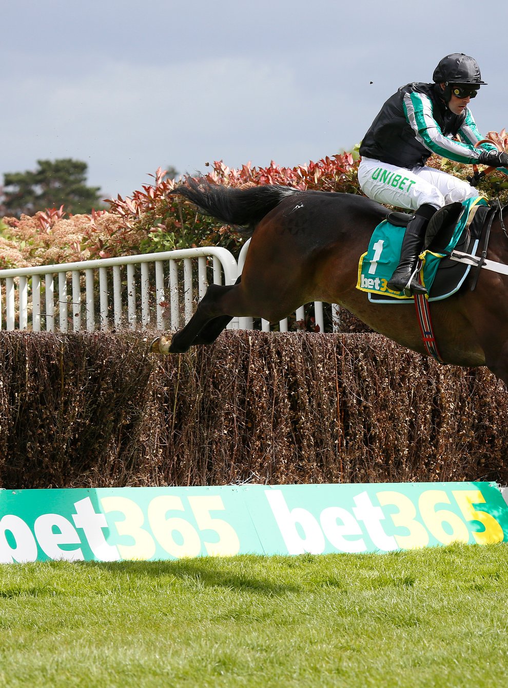 Dual Queen Mother Champion Chase winner Altior is among the entries for this year's renewal