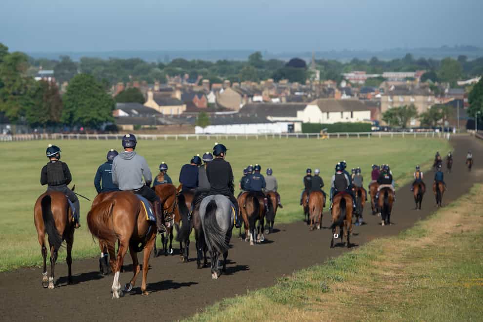 Racehorses on the gallops at Newmarket