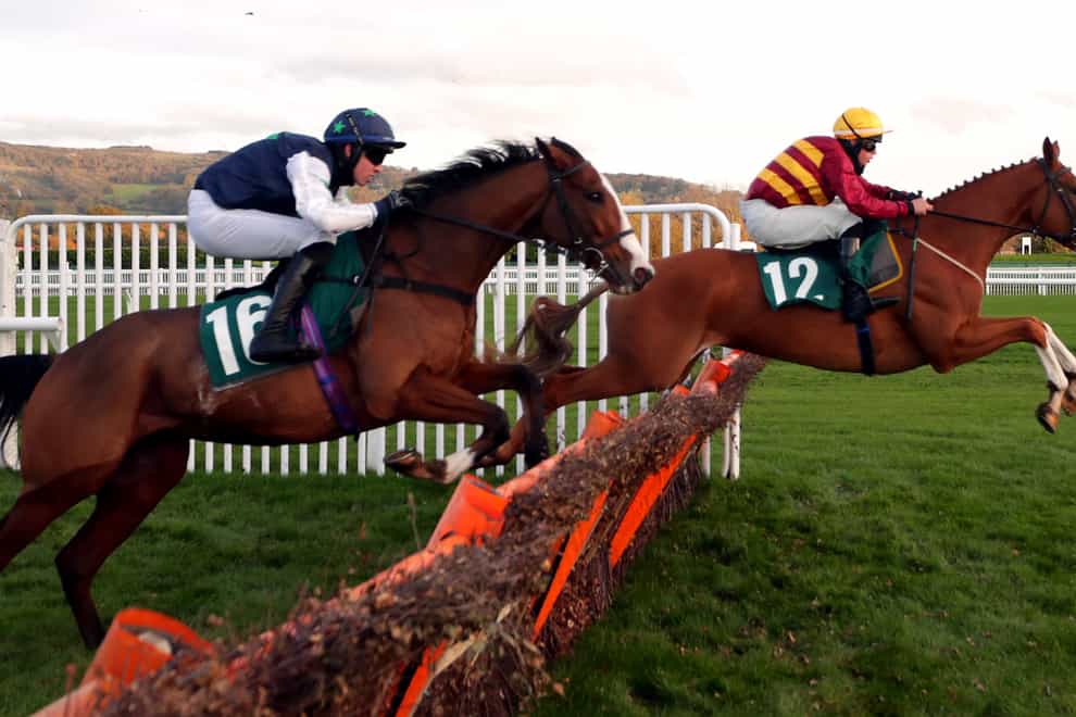 One True King (right) seen in action at Cheltenham in October