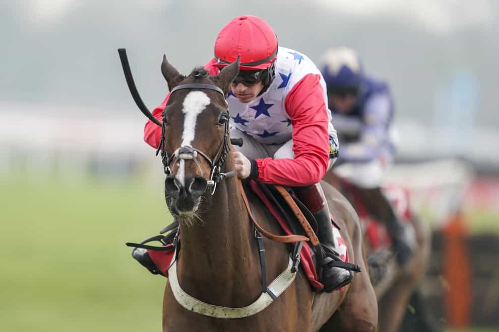 Sage Advice made a winning debut over hurdles