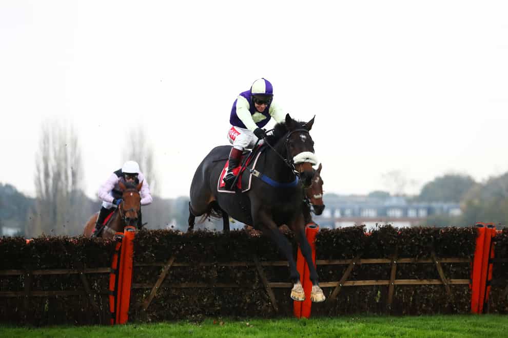 Adrimel is on course to tackle the Grade Two Leamington Novices' Hurdle at Warwick on Saturday
