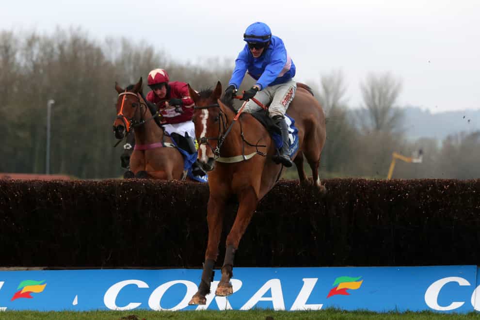 The Two Amigos (left) ran another gallant race when second to Secret Reprieve in the Coral Welsh National
