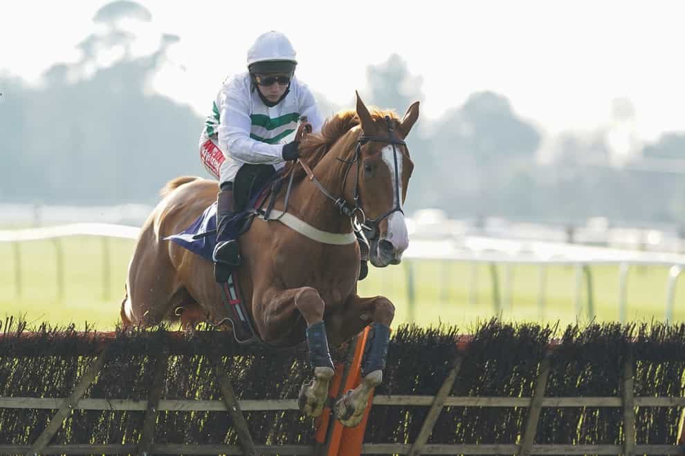 Nassalam could have his next race on Cheltenham Festival Trials Day this month