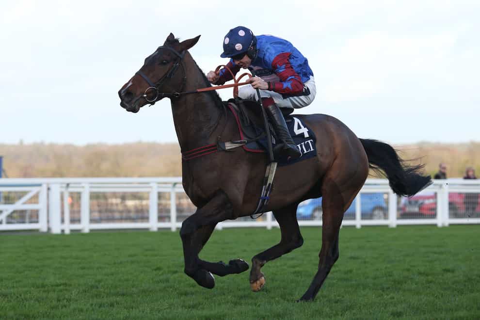 Paisley Park could bid for a second victory in the Stayers' Hurdle