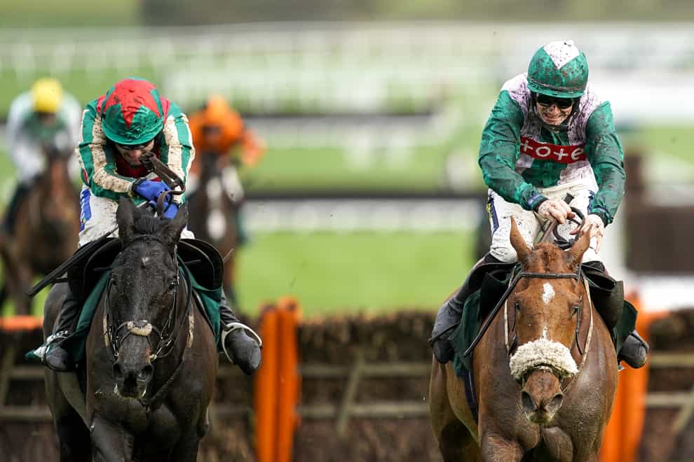Make Me A Believer (left) on his way to victory at Cheltenham
