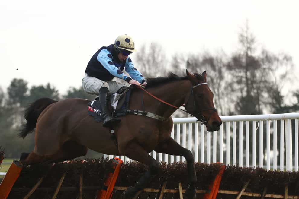 Edwardstone is set for the Betfair Hurdle after victory at Market Rasen