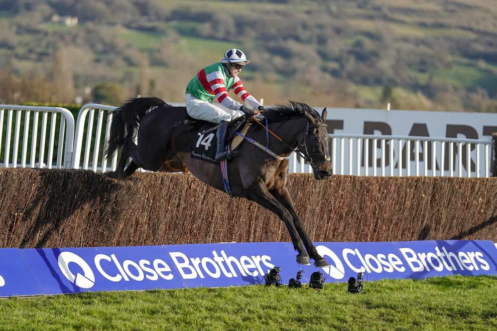 Chatham Street Lad is till on course for the Cheltenham Festival despite his recent defeat