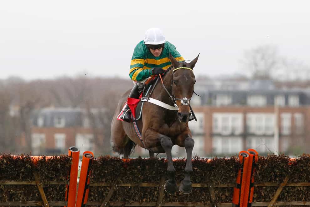 Buveur D'Air could return to action this weekend