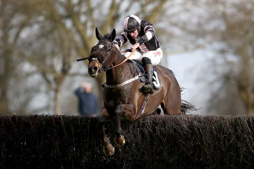 Sam’s Adventure is on course for the Peter Marsh Chase