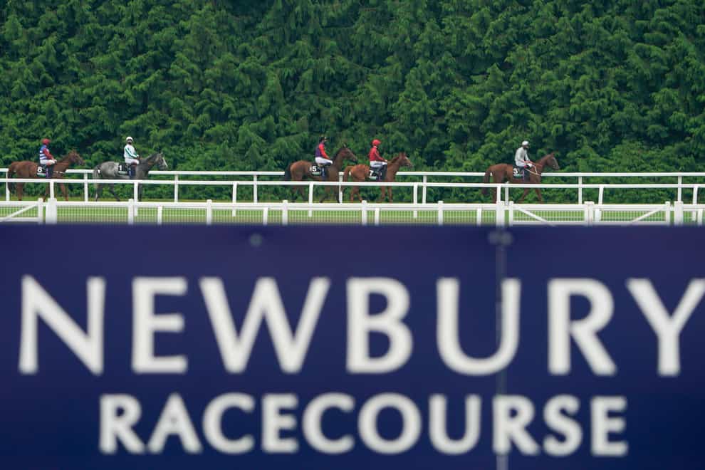 Newbury Races