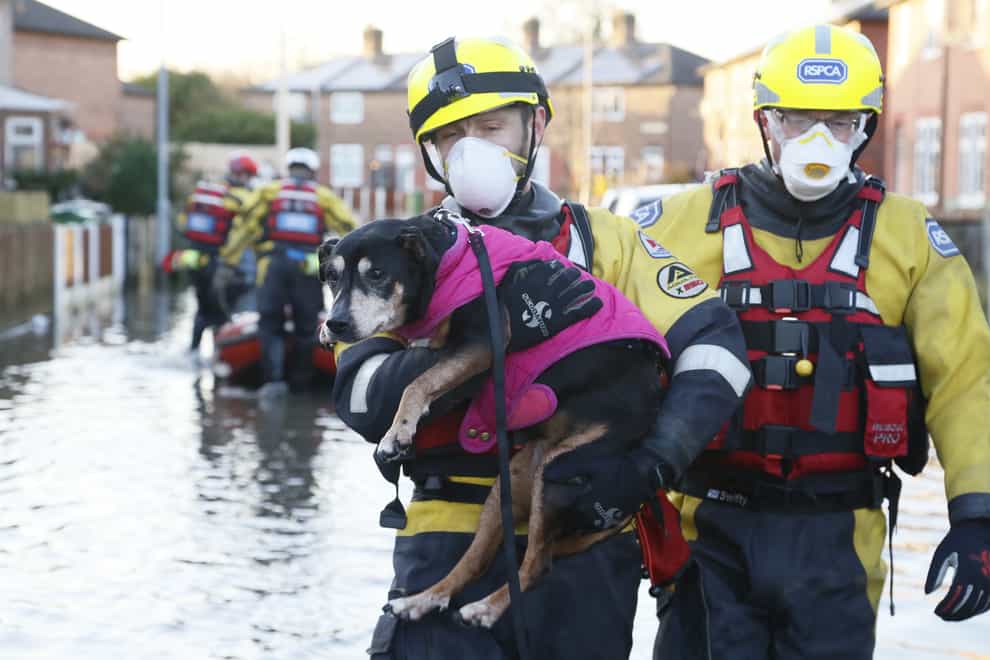 The RSPCA launches rescue missions for animals stuck in floods