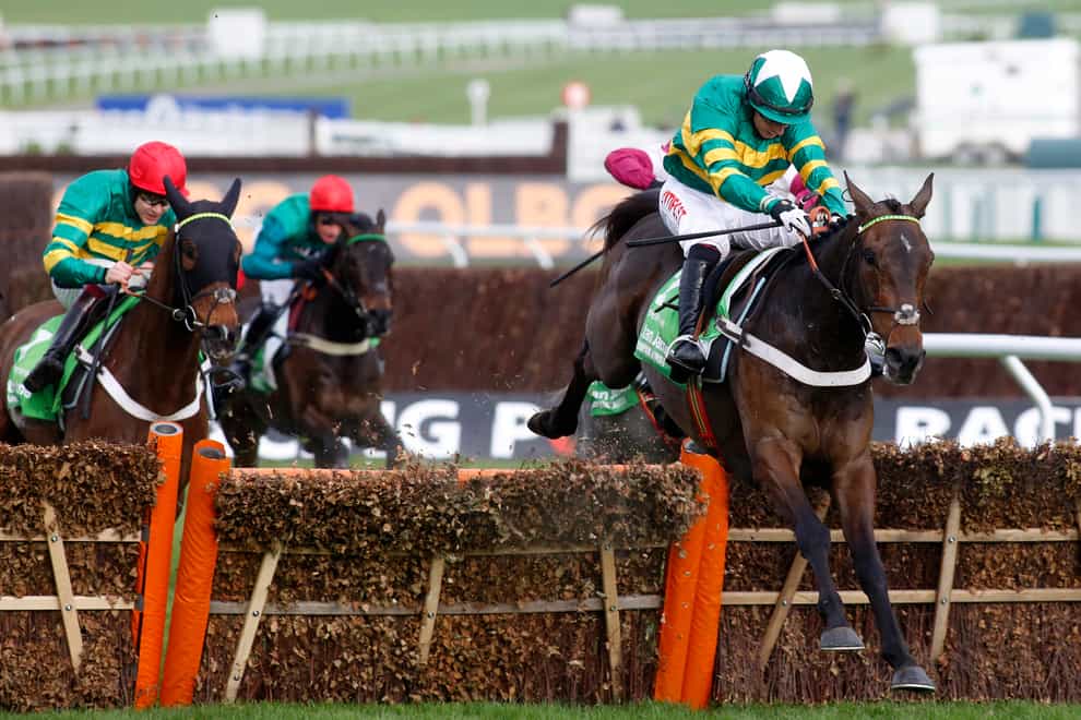 Buveur D’Air in Champion Hurdle-winning action