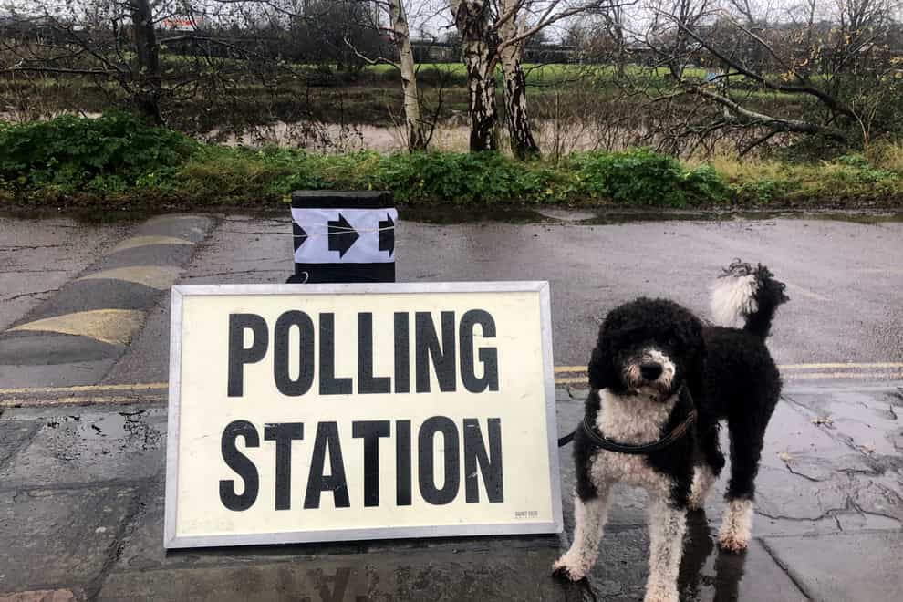 A small dog stands next to a polling station sign
