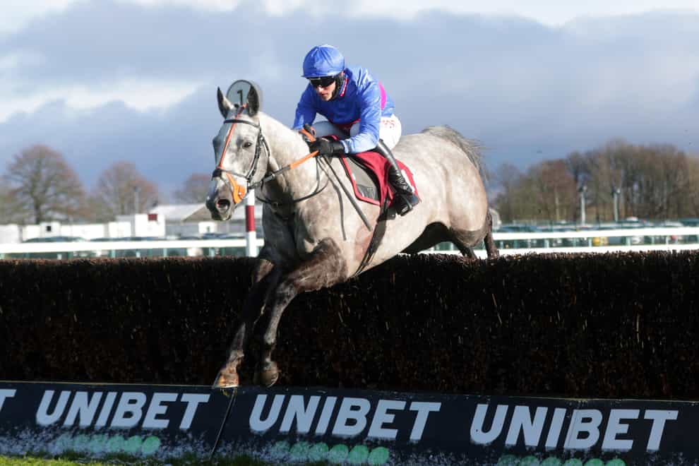 Silver Hallmark and Adam Wedge were decisive winners of the Read Nicky Henderson’s Unibet Blog Novices’ Chase at Haydock