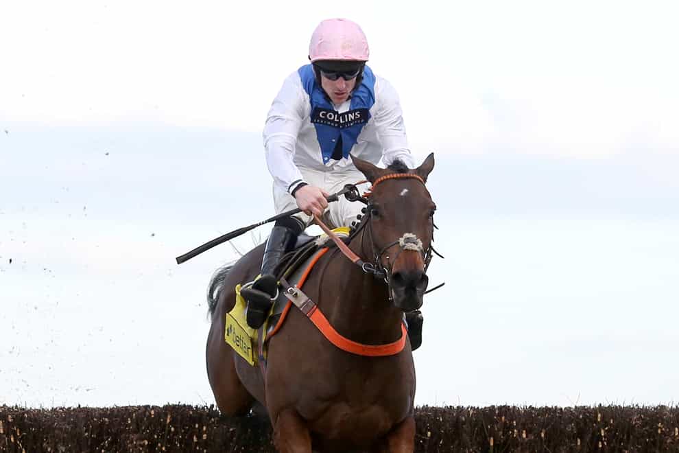 Waiting Patiently has been taken out of the Queen Mother Champion Chase at Cheltenham