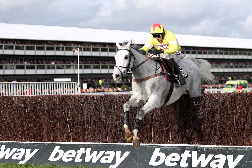 Politologue's next outing will be in the Queen Mother Champion Chase at Cheltenham which he won last year
