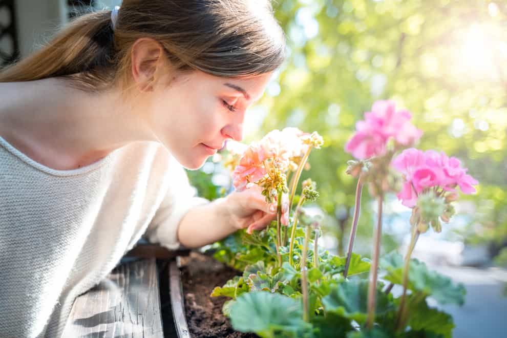 Woman smelling flowers on balcony, take care of plants at home