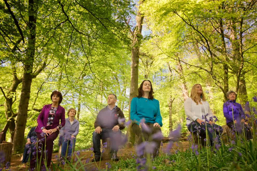 Shinrin-yoku, also known as forest bathing, is a popular Japanese concept (Ann Ward/PA)