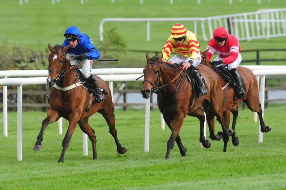 Sam's Profile (yellow) at Punchestown in 2019