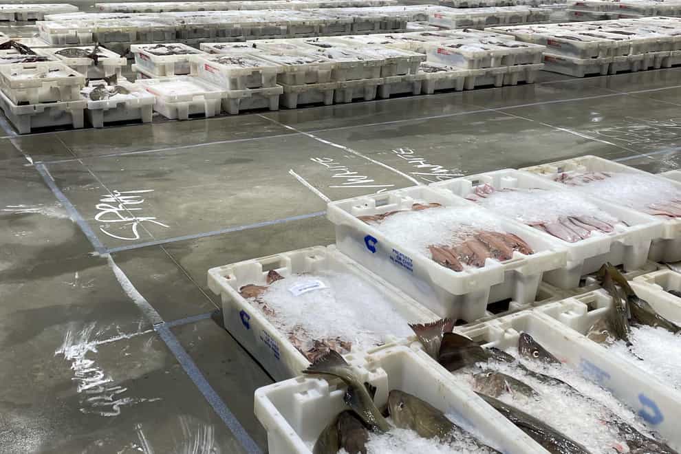 Peterhead fish market, Europe's biggest, has been called a 'ghost town' since Brexit - but Boris Johnson said the sector's fortunes would improve