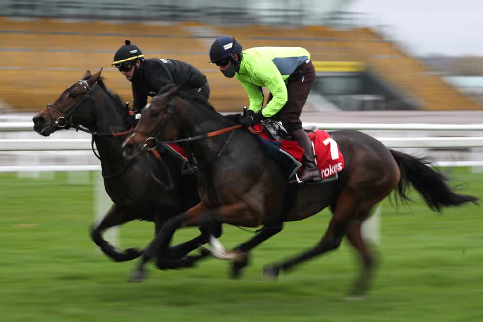 Floressa (right) and Marie's Rock galloping at Newbury