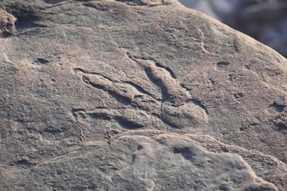 The dinosaur footprint found near Barry