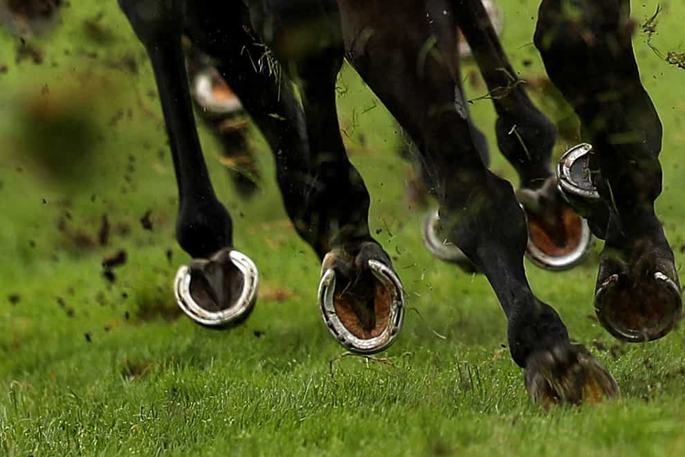 A general view of horses hooves