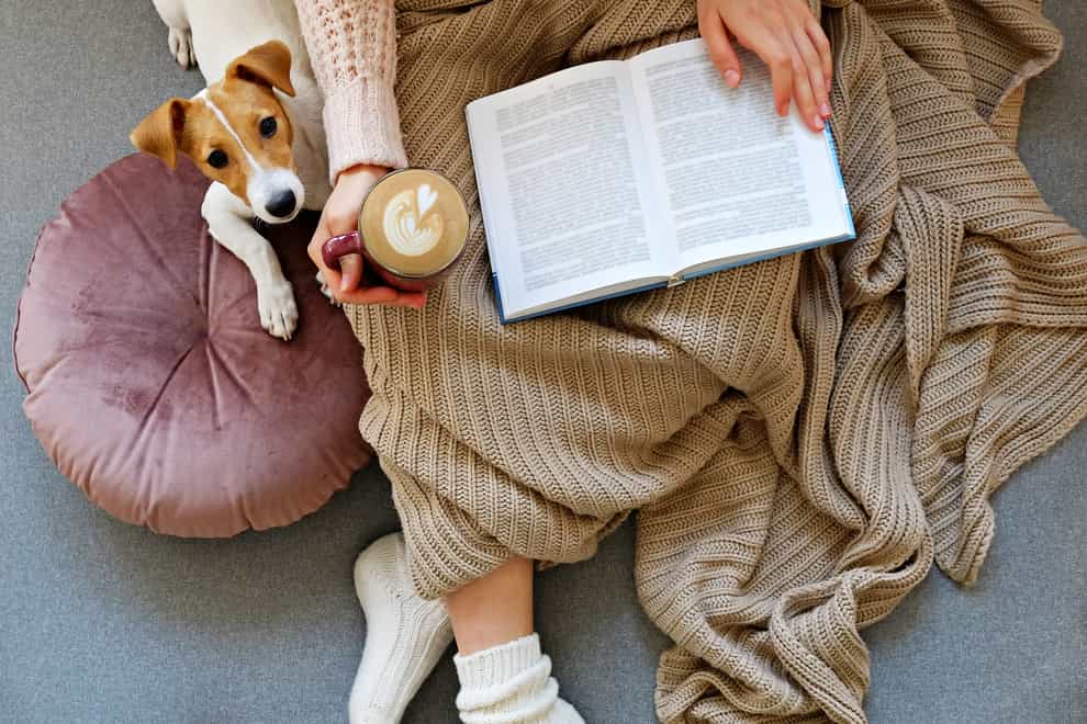A person reading a book with their dog