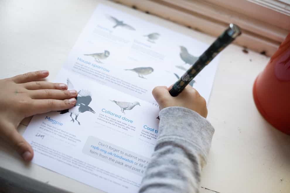 A person filling in a Big Garden Birdwatch sheet
