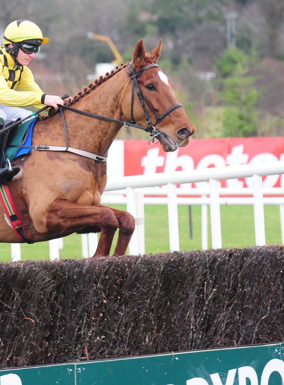 Melon may be ridden more conservatively in the Irish Gold Cup